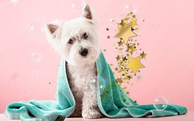 Saddleworth Star of the Month