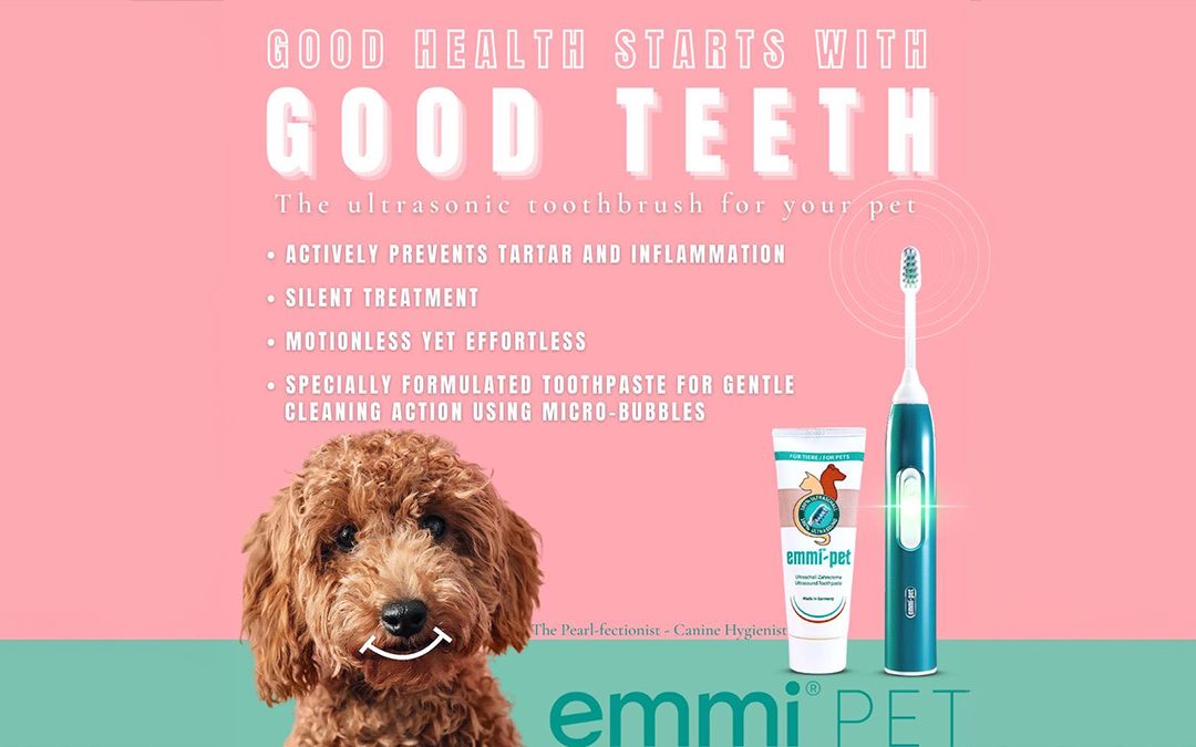 Emmi®-pet Teeth Cleaning – Gentle Dental Care for Your Dog